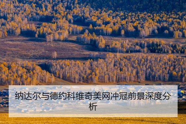 na-da-er-yu-de-yue-ke-wei-qi-mei-wang-chong-guan-qian-jing-shen-du-fen-xi-2-438.jpg
